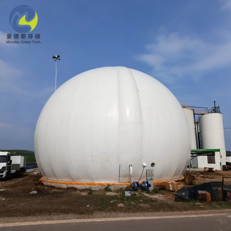 Double Membrane Gasholder best