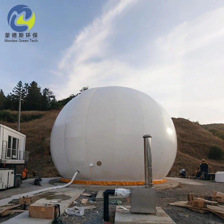 Double Membrane Gasholder factory