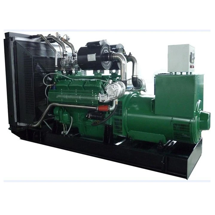 Biogas Driven Generator Set
