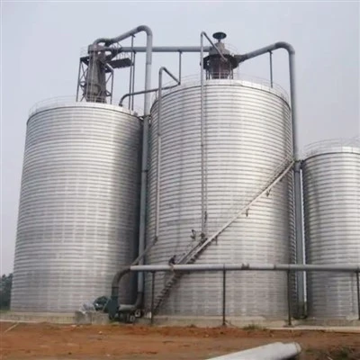 Industrial Chemical Storage Tanks
